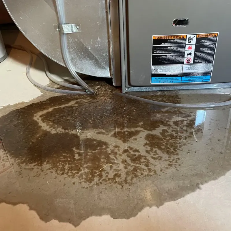 Pipe Burst and Leak Restoration in Mount Lebanon, PA