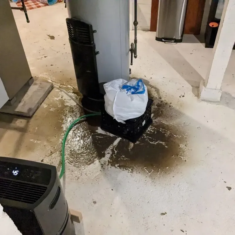 Sewage Backup Cleanup Service in Mount Lebanon, PA